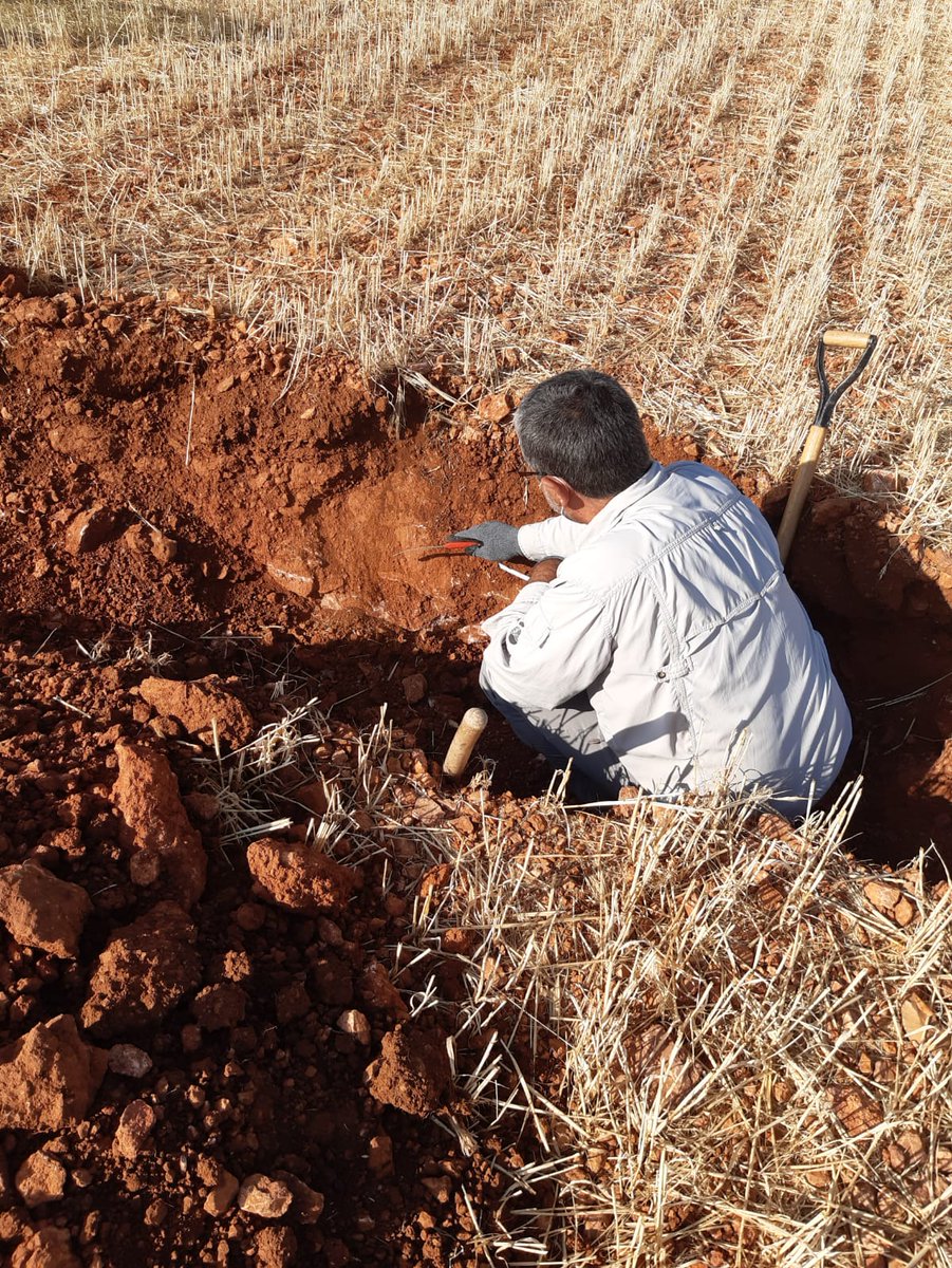 AgrisatSl's tweet photo. Ayer realizamos los trabajos de toma de muestras y descripción del perfil del #suelo  de las #calicatas georreferenciadas mediante los Mapas de Zonas de Manejo #MZM de #Fertimaps.

#agriculturadeconservación #conservacióndesuelos #agriculturadeprecisión #AgriSatwebGIS https://t.co/FljIutDIPd