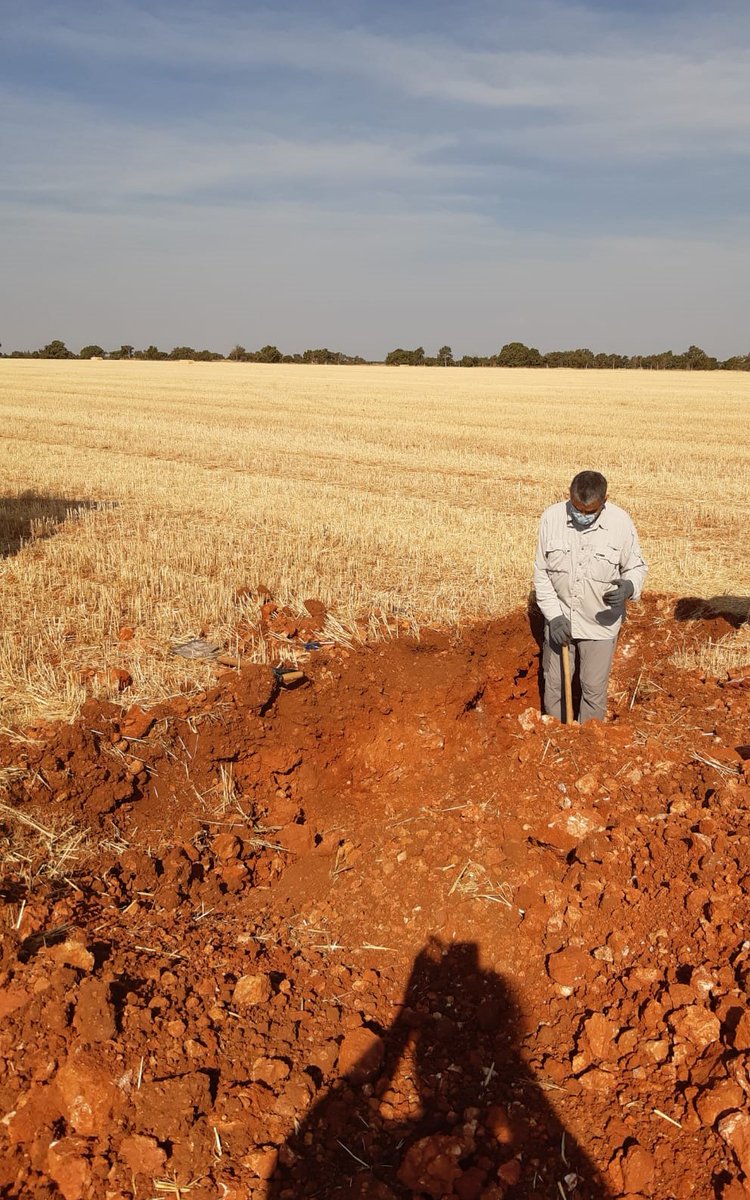 AgrisatSl's tweet photo. Ayer realizamos los trabajos de toma de muestras y descripción del perfil del #suelo  de las #calicatas georreferenciadas mediante los Mapas de Zonas de Manejo #MZM de #Fertimaps.

#agriculturadeconservación #conservacióndesuelos #agriculturadeprecisión #AgriSatwebGIS https://t.co/FljIutDIPd