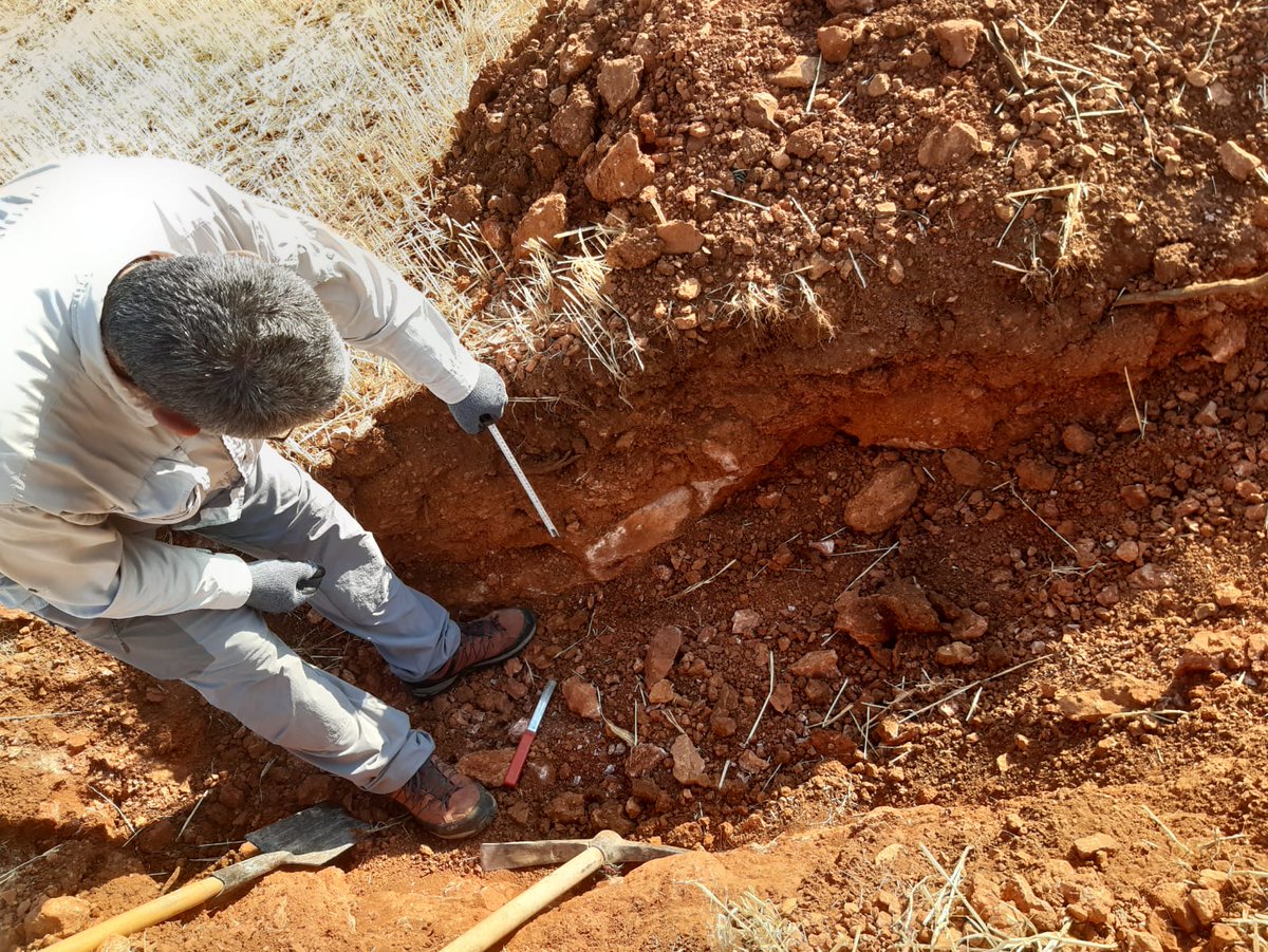 AgrisatSl's tweet photo. Ayer realizamos los trabajos de toma de muestras y descripción del perfil del #suelo  de las #calicatas georreferenciadas mediante los Mapas de Zonas de Manejo #MZM de #Fertimaps.

#agriculturadeconservación #conservacióndesuelos #agriculturadeprecisión #AgriSatwebGIS https://t.co/FljIutDIPd