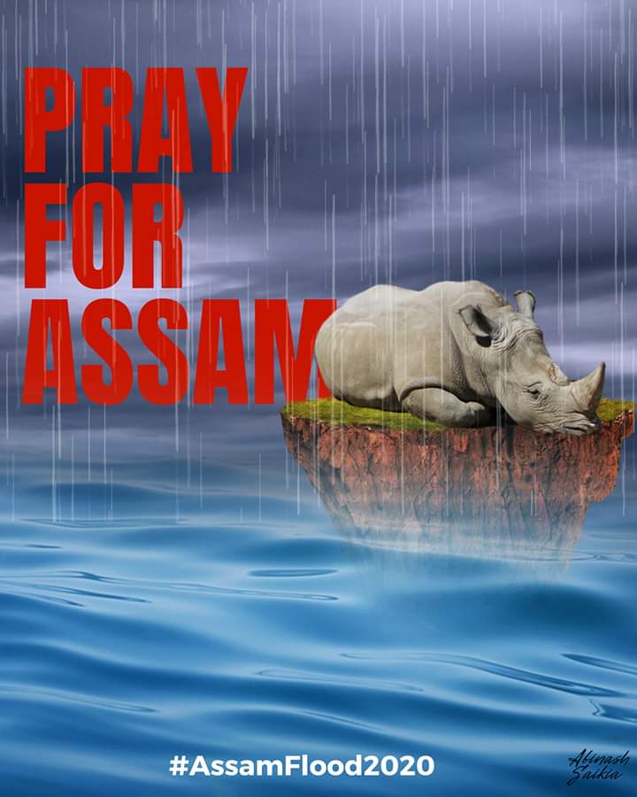 AkashProtimGog2's tweet photo. #AssamFloods2020 #AssamIsDrowning 
#PrayForAssam 
#HelpAssam @sarbanandsonwal @narendramodi @rashtrapatibhvn https://t.co/cPC5gkbSkC