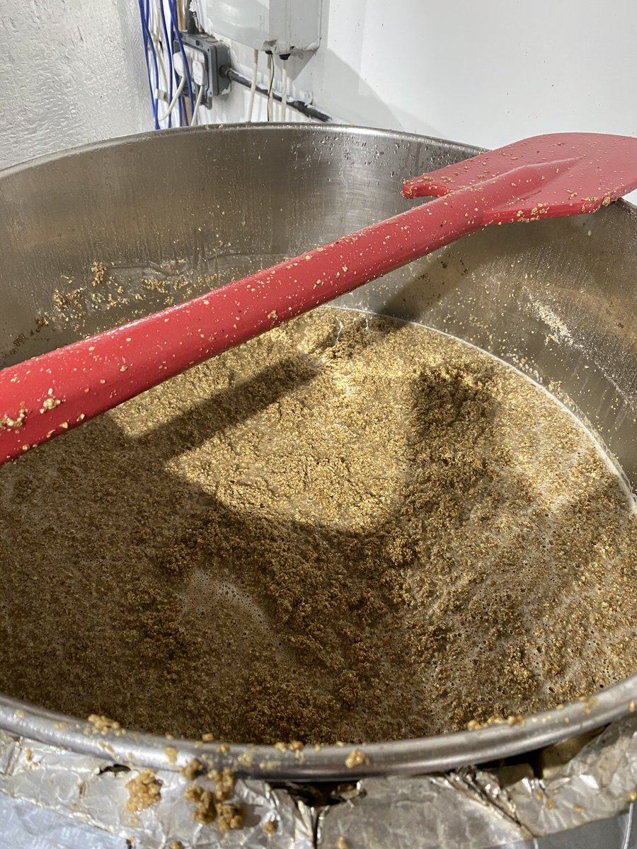 So @TheBreweryLad is working today with Barney from Altgrain creating a gluten free golden beer using there own ground millet! Watch this space