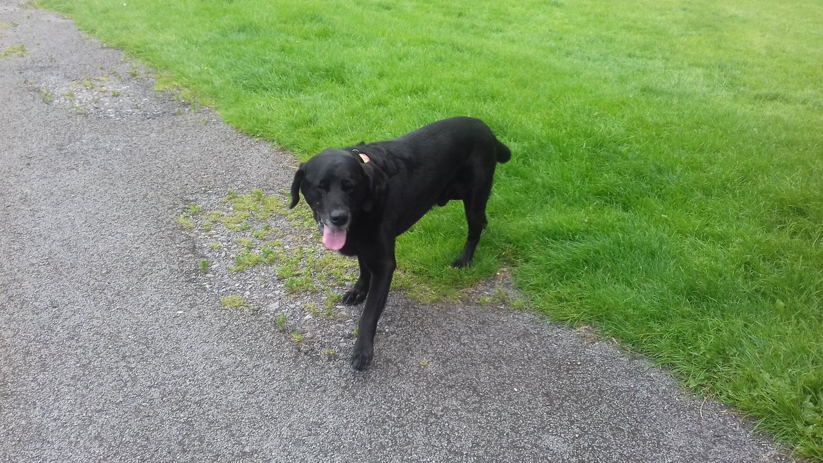 CMBC_CPT's tweet photo. Team 3 Foot patrol around Hullen Edge Park meeting the locals
@calderdale
@CMBC_CSRT
@Suewarden306
@WardenRonan304
@wardenseb324
#keepcalderclean
#keepcalderdalesafe https://t.co/HGoLjBzZdQ