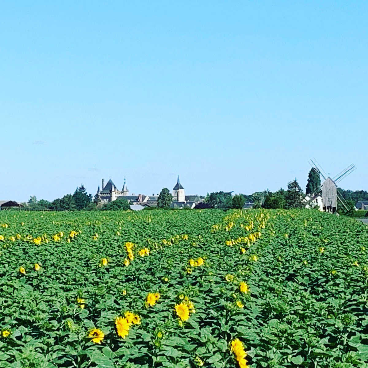 arthurancelle's tweet photo. J-9 pour @cle_portes 2020
#berlinsky #festival #loiretcher #talcy #dartagnan #donquichotte #borodin #chostakovitch #shostakovich
https://t.co/nOH3nTRtyv https://t.co/vazdyYiat0