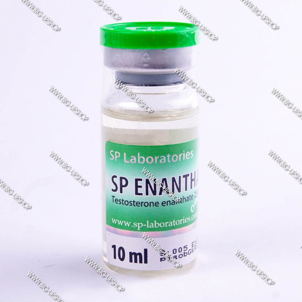 bigupshop2's tweet photo. What is SP ENANTHATE? Substance:
#testosterone #enanthate. Testosterone enanthate is an injectable steroid in the form of oily solution which slowly releases testosterone in the blood, and has a long-term action in blood... More info https://t.co/mNQasE4n9q https://t.co/mYSzZODCzw
