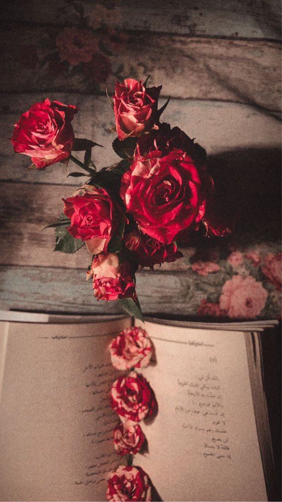 _3lzhr_'s tweet photo. "أنا في حمى الله الذي يعرف ألواني، يُشعل أجملها ويأخذ من نفسي آلامي، أنا في حمى الذي يُطفئ حسراتي بأمل المغفرة ويغسل فوضاي بماء الطمأنينة وأسلي به أفكاري، أنا في ظل المجيد، في رجاء رحمته، في اتساع مكارمه، في غوث ألطافه، بعد عرس ابتهالاتي." https://t.co/WKdkV31buT