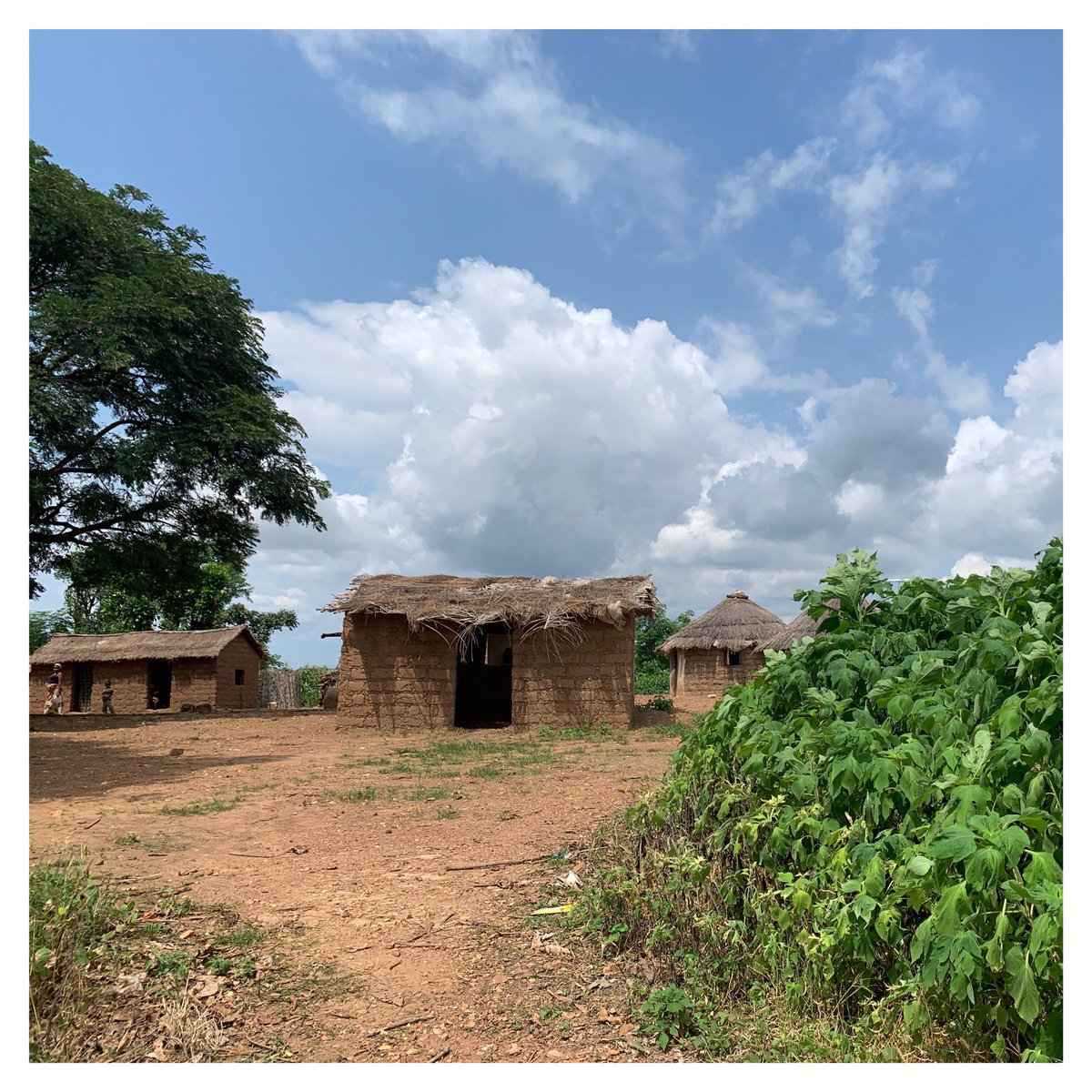 y4y_ng's tweet photo. An estimated 100 million Nigerians still lack basic sanitation services and 63 million do not have access to an improved source of water.

#betterworld #socialimpact #world #betterchange #helpthepeople #helpingkids #nonprofitorganization #everyonematters #preventionfromdiseases https://t.co/le6DCWl1uw