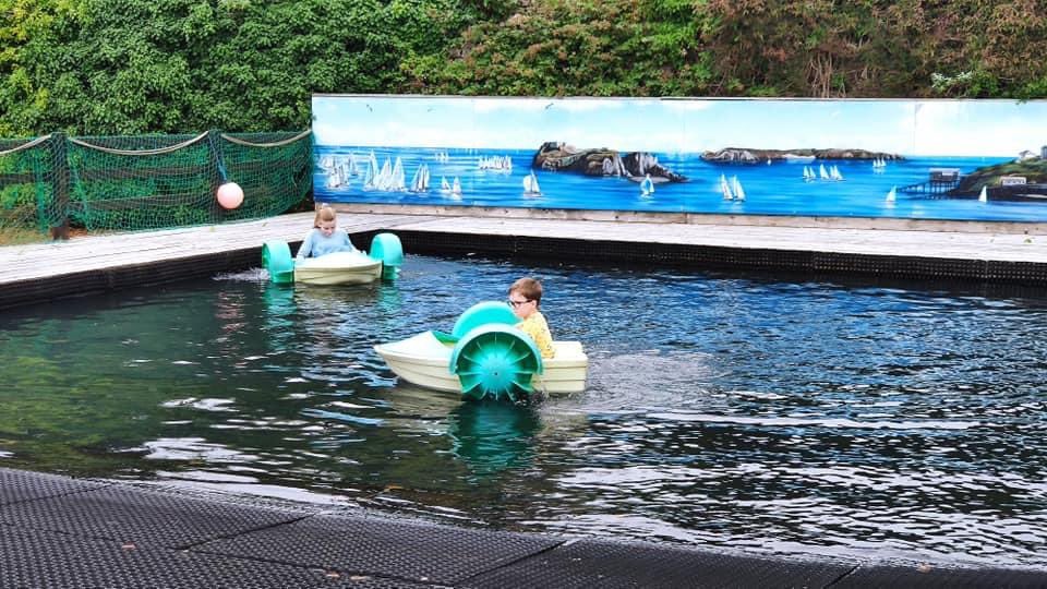 Deb Meek tweet media