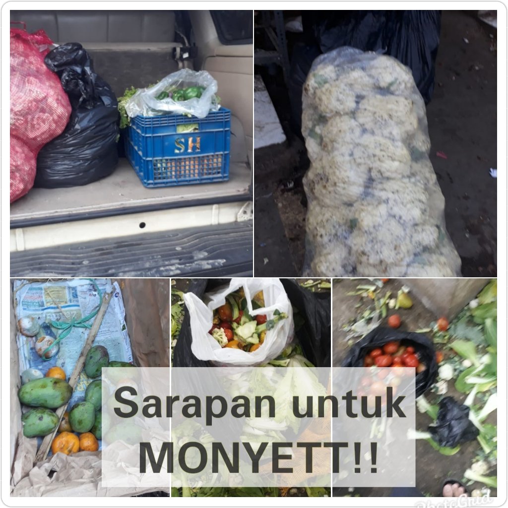 alukhuwah_tdee's tweet photo. Ini yang kami lakukan pagi tadi .. @PRFMnews @infobdg @bandungbaratday @ridwankamil @tribunjabar #saveMonyet #saveMonyetAndir https://t.co/DzeXroTsd5