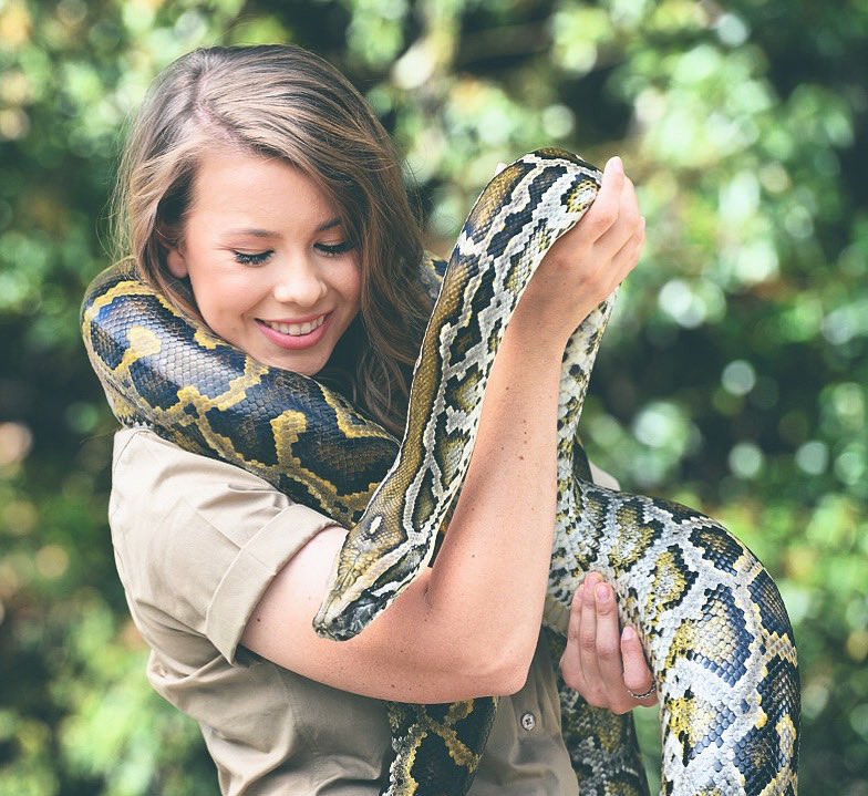 BindiIrwin's tweet photo. Wishing you a very happy #WorldSnakeDay. Even if you don’t want to cuddle these slithery friends, it’s incredibly important to respect and appreciate snakes. They are critical to keeping many ecosystems healthy around the world. 💚🐍 https://t.co/VxWRIQGFxw