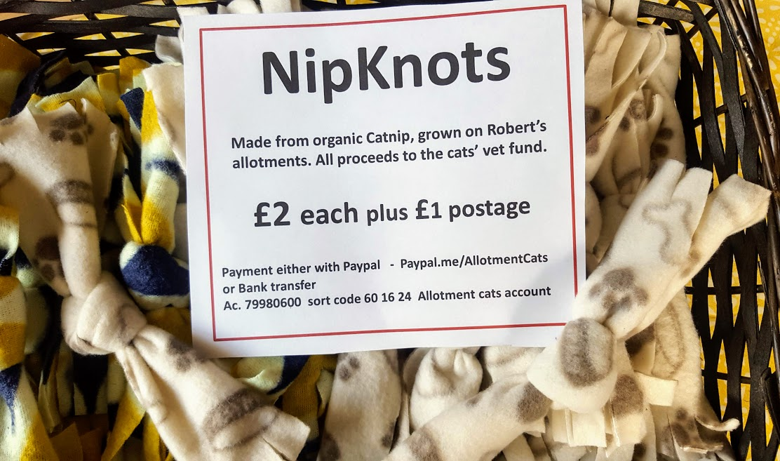 AllotmentCat's tweet photo. My human is at it again. I know it's for a good cause, but she's turning into a Drug Dealer. How am I supposed to give up the Nip when she does things like this? I hope they get sold quickly so I won't be tempted. https://t.co/7WHgYPxrDZ