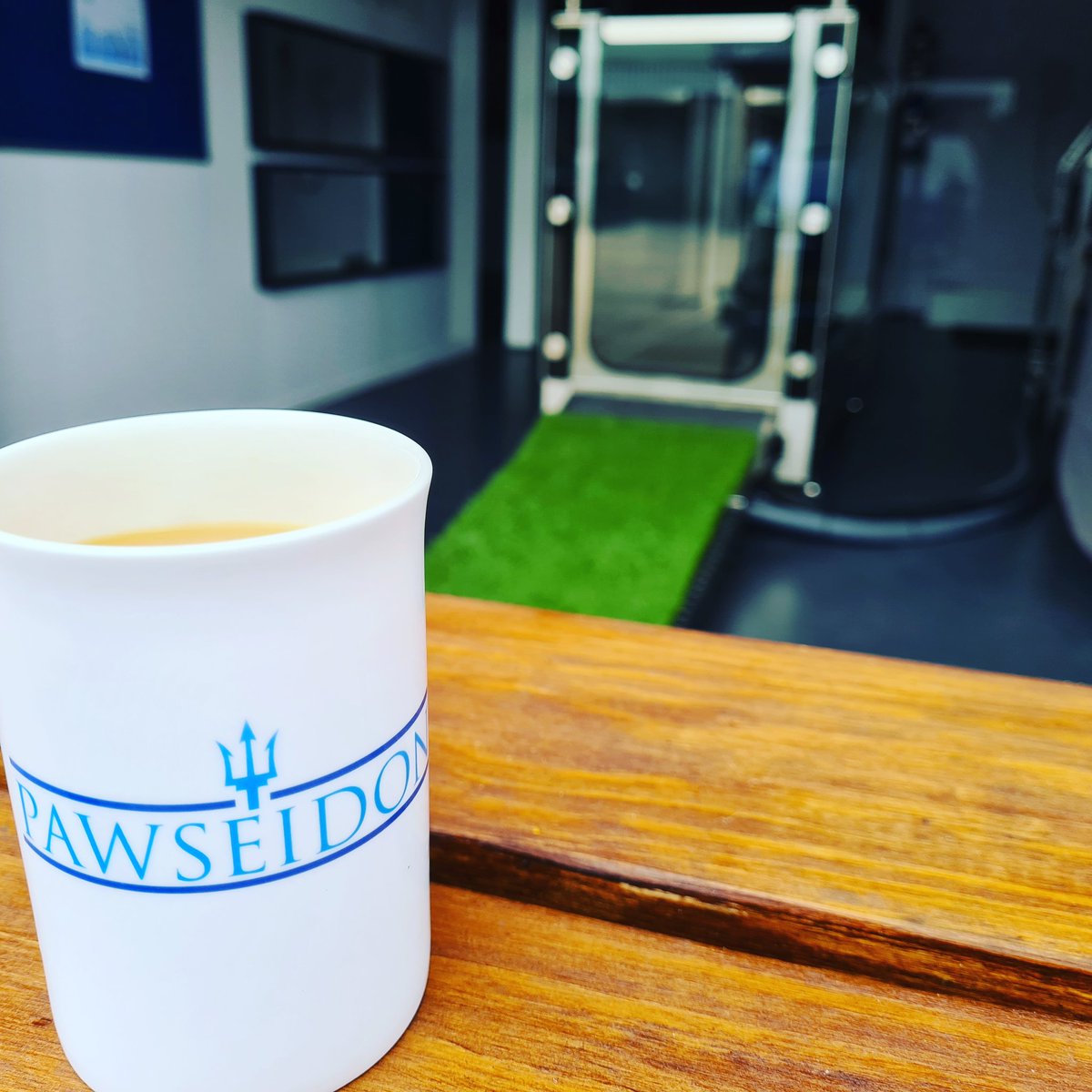 PawseidonHub's tweet photo. No better way to start a day ☕
🐕
#hydrotherapy #physiotherapy #swimtorecovery https://t.co/oZgP50KCZF