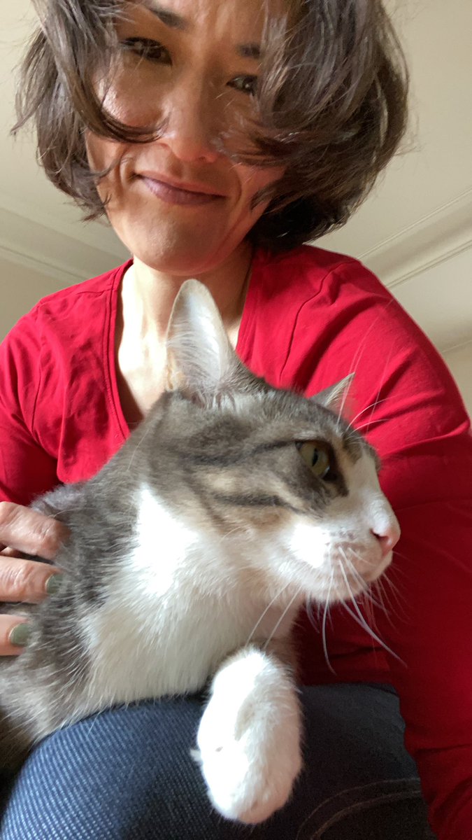 ebodyguard's tweet photo. Travailler en bonne compagnie aurait des vertus insoupçonnées. Après la pause café, je voulais me remettre au #desking mais mon collègue m’a convaincue de rester à la réunion #furandpurr de 10h15 expliquant les bonnes raisons de se mettre au #caressing et au #ronroning 
#derien https://t.co/Te6KTus3Tf