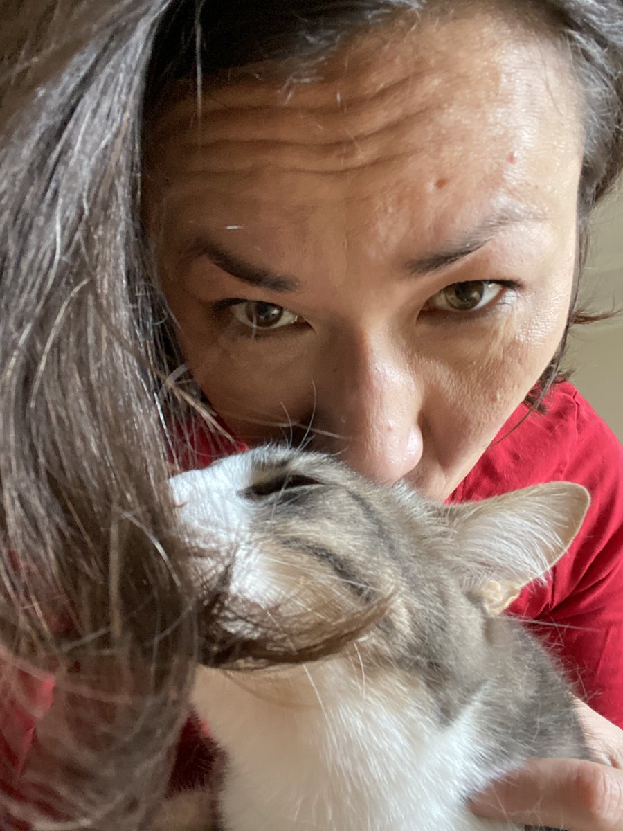 ebodyguard's tweet photo. Travailler en bonne compagnie aurait des vertus insoupçonnées. Après la pause café, je voulais me remettre au #desking mais mon collègue m’a convaincue de rester à la réunion #furandpurr de 10h15 expliquant les bonnes raisons de se mettre au #caressing et au #ronroning 
#derien https://t.co/Te6KTus3Tf