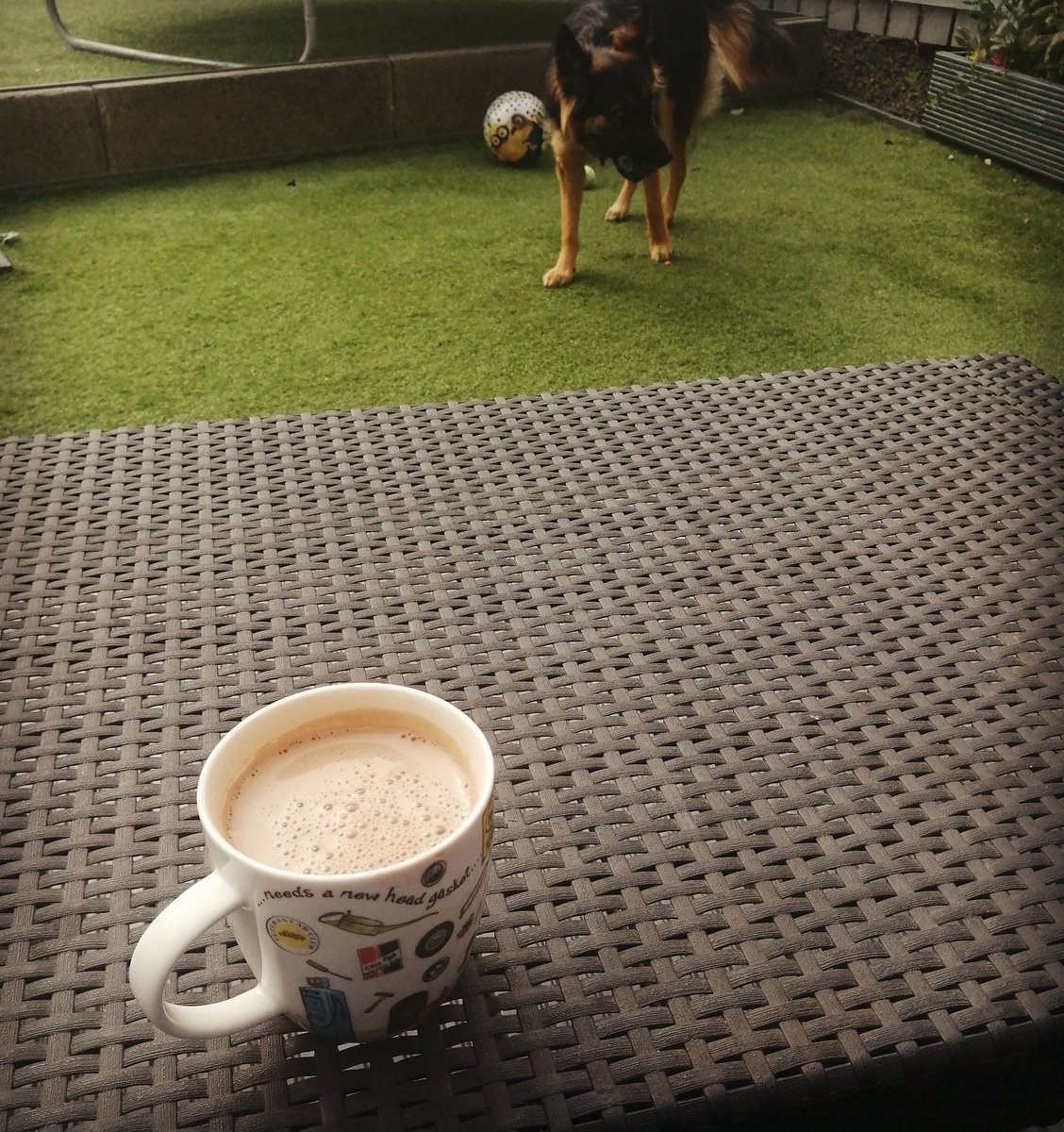 HipicaArt's tweet photo. Quick "choffee" in the back garden before I'm glued to my desk all day!
#thursdaymorning #thursdayvibes #choffee #hipicaart #gsd #GermanShepherd #gardenlife https://t.co/ZzpcuK7NBt