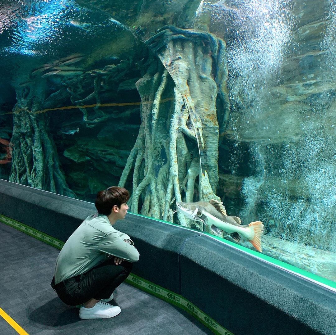 FORMYSTAR0524's tweet photo. 20200716 인스타그램 
©️hsh0705
@HSangHyuk 

오늘 공개되는 #가두리횟집 마지막회🐠
아쉽지만ㅠㅠ 아쉬운만큼 끝까지 많이 사랑해주세요!!
#우빈이 #안녕 #그동안 #감사했습니다
koktv_official 👋

#VIXX #빅스 #HYUK #혁 #한상혁 https://t.co/UPFi3wFy8r