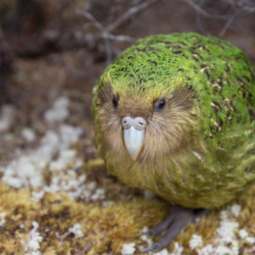 そのナンバーの車も多い サーファーは要注意 サーフスポットの車上荒らしで軒並みやられる理由は暗証番号が原因かもしれない Togetter