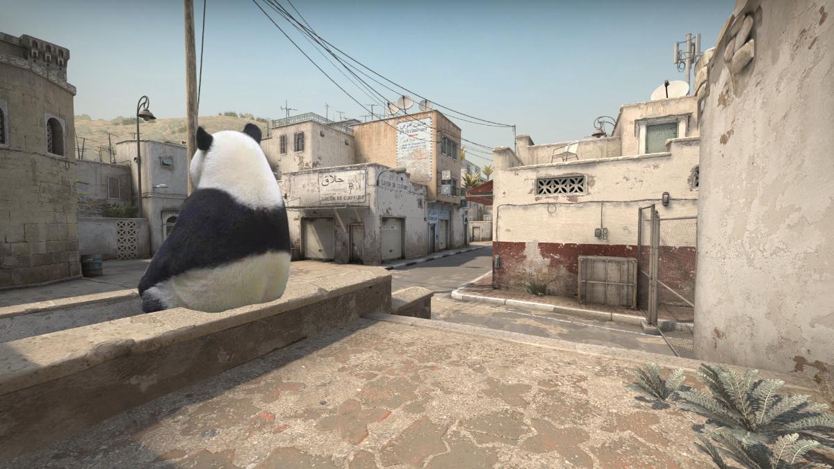 BLASTPremier's tweet photo. Me waiting around on A site when the opponents just keep rushing B every round 🐼

#BLASTPremier https://t.co/i6trkaJWcl