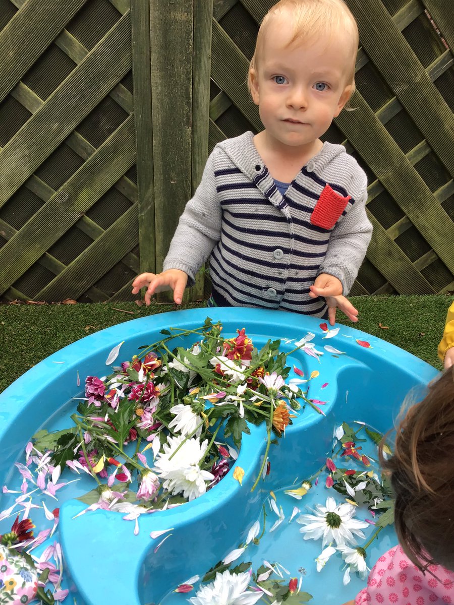 snapredland's tweet photo. Today in butterflies we have been mixing potions! We looked at lots of different flowers, explored their colours and how they smelt and then we added them to our water tray! We had lots of fun mixing our potions in the garden🌸🌼🌺 https://t.co/8dQYBGc8ZG