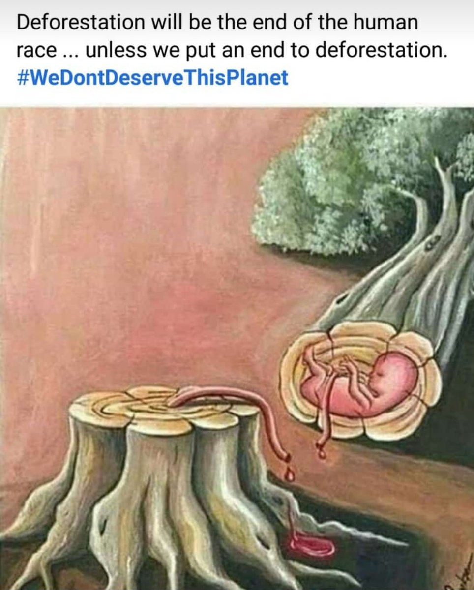 GIVE2EARTH's tweet photo. Save forest , Save life . https://t.co/mIVK4TNYwx