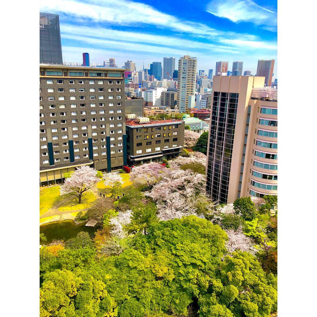 •` 070419