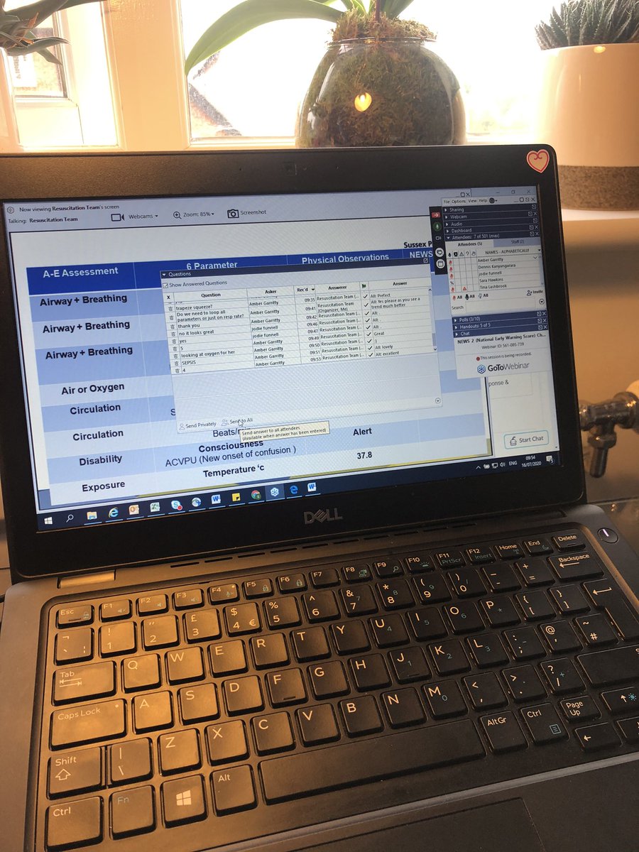 The new normal 😀 NEW2 champion webinar training.