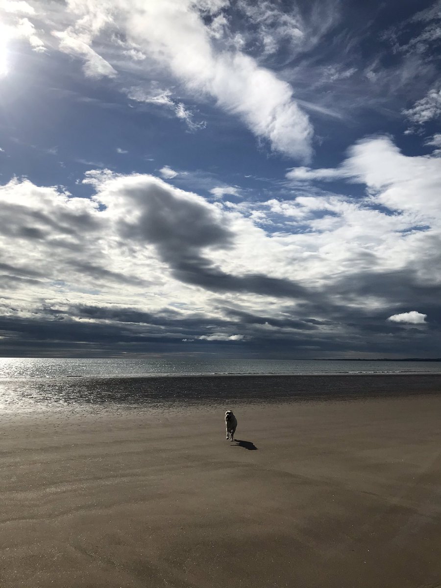 Space for me.... and Sonny!