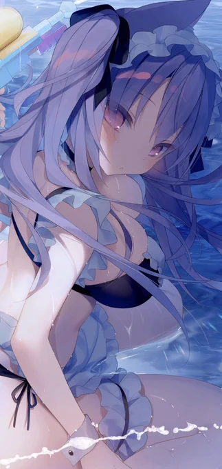 🐬 