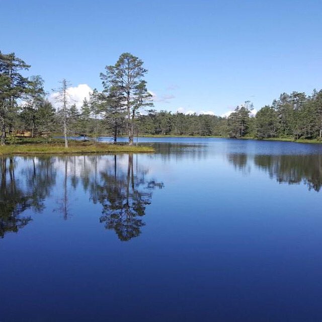 SorenPoder's tweet photo. #norway https://t.co/JTj8Vl494h