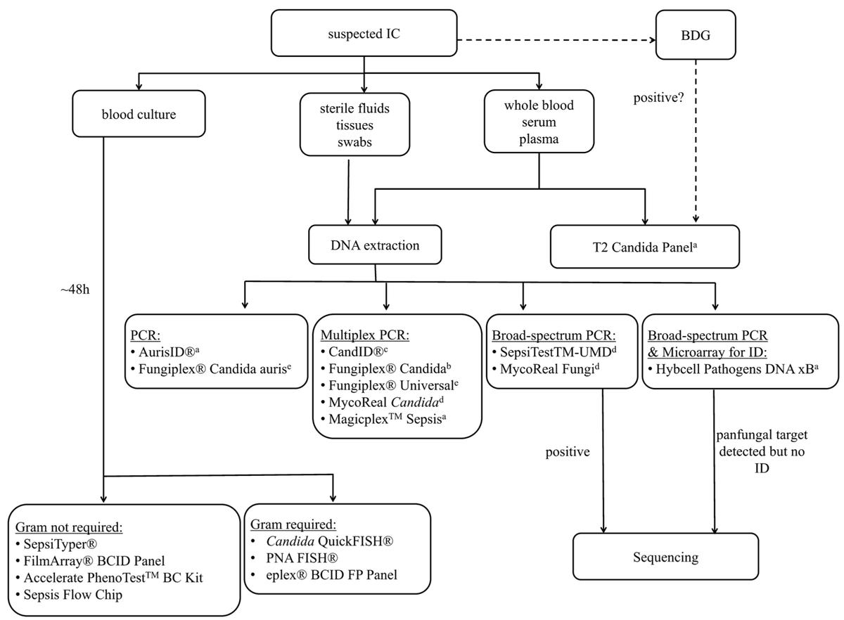 A review '#MolecularMethods for the #Diagnosis of Invasive #Candidiasis' from Prof. Birgit Willinger. 

This is the second paper from the Special Issue 'Epidemiology, Diagnosis of Fungal Infections'

More details could be seen here: mdpi.com/2309-608X/6/3/…