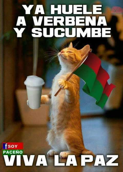 IsaSoAngel's tweet photo. Lindas montañas me vieron nacer, el Illimani mi cuna meció🎶🎶 #collitateniasqueser #chukuta #picoverde. Felicidades paceños!!! Que Viva La Paz!!!🇧🇾 https://t.co/Un20CrMncM