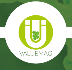 Vertech_Group's tweet photo. The main objectives of the @Value_Mag  #h2020 project : To develop an advanced magnetic method for micro-algae cultivation !

Find our more by clicking below !
https://t.co/mbGjBD45rH

#sustainability @EU_Commission #SustainableImpact https://t.co/ji0GmPTWQu