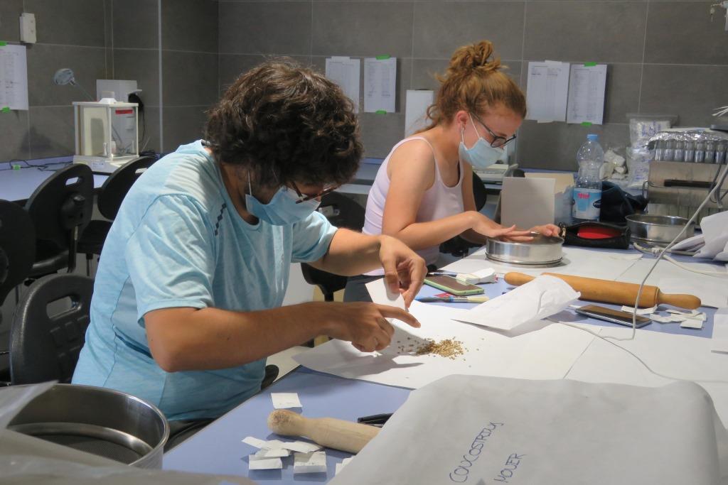 biodiversos.urjc tweet media