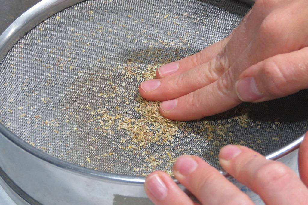 biodiversos.urjc tweet media