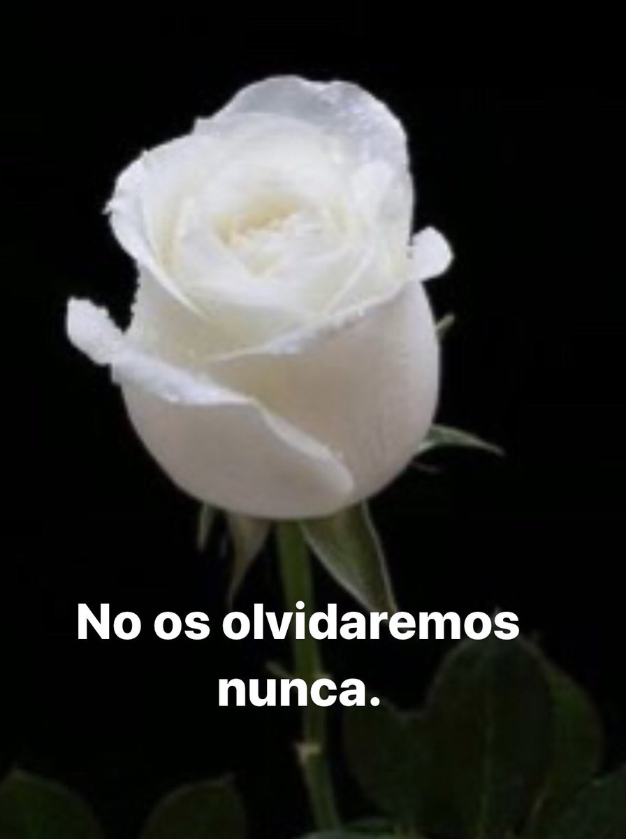 mjsanchezrubio's tweet photo. Una gran ceremonia de Estado. Un día para homenajear a las víctimas del COVID19, a tod@s los profesionales que dan lo mejor de si mismos para cuidarnos, jugándose en muchos casos su propia salud y su vida.Y a toda la ciudadanía que dio ejemplo con su comportamiento en estos meses https://t.co/7oShaFsc4u