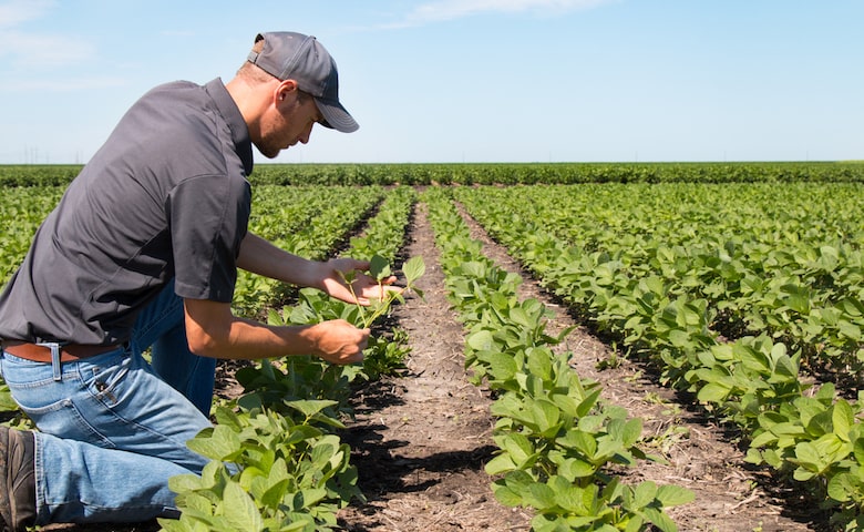 cgiltoscana's tweet photo. ⛔️ #Agricoltura, operai preziosi e da valorizzare. Hanno assicurato cibo sulle nostre tavole durante il #lockdown, ora - con Flai Cgil, Fai Cisl e Uila Uil - chiedono di rinnovare il contratto di #lavoro: in #Toscana tavoli bloccati in 4 territori su 8
👉 https://t.co/10x7tLgvB9 https://t.co/iIUW6XaFfP
