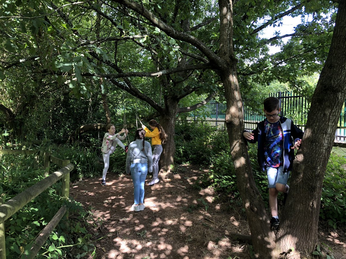 CoedEvaYear5's tweet photo. More fun this week in our forest school area https://t.co/U8jw4RgKCV