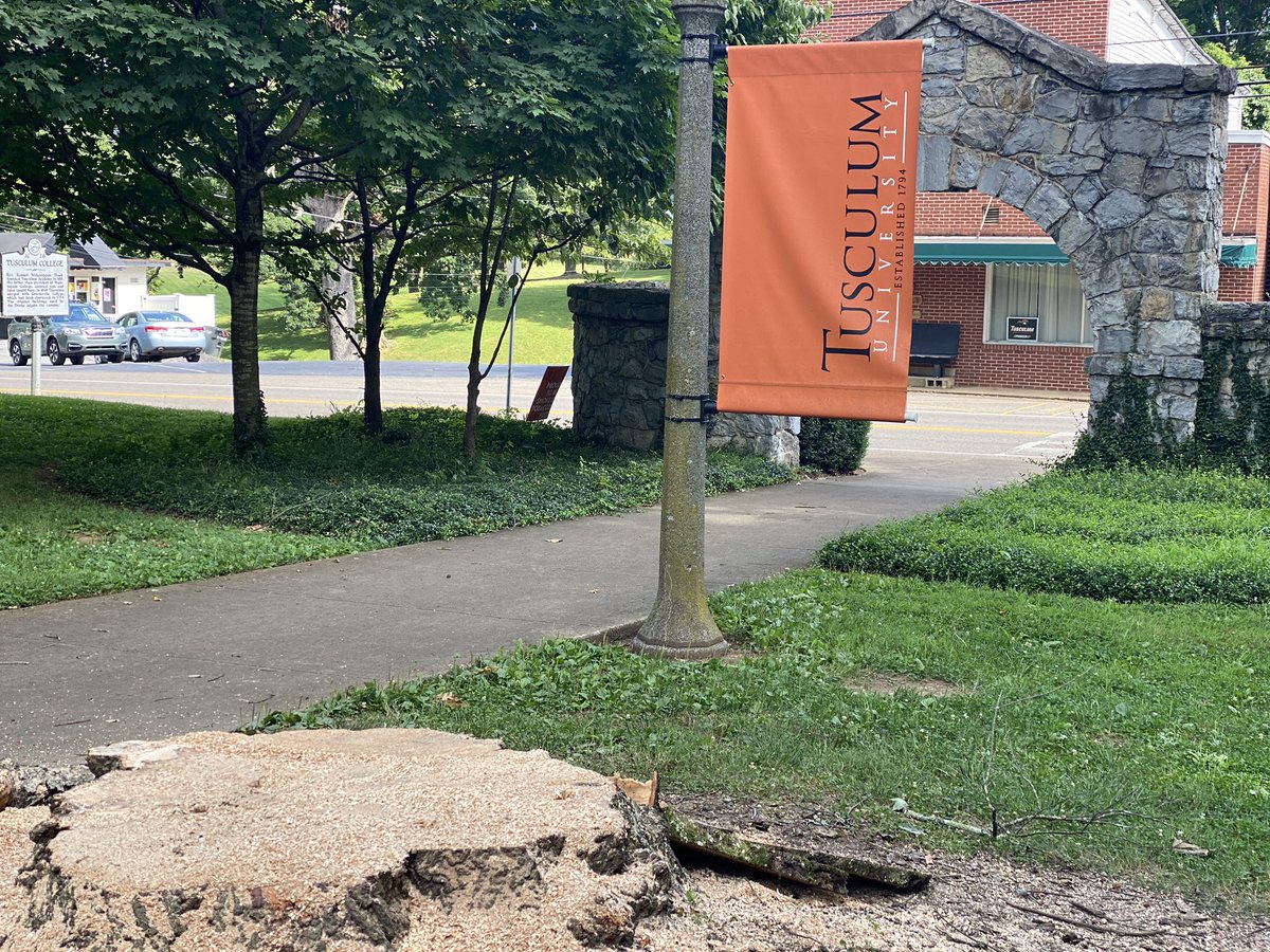 TusculumSpirit's tweet photo. Huge thanks to Price’s Tree Service, Gene Buxton-Greeneville Wood Ministries, and Tusculum facilities for clearing off a gorgeous maple that was taken down by a recent storm! https://t.co/uCp2e21PHR