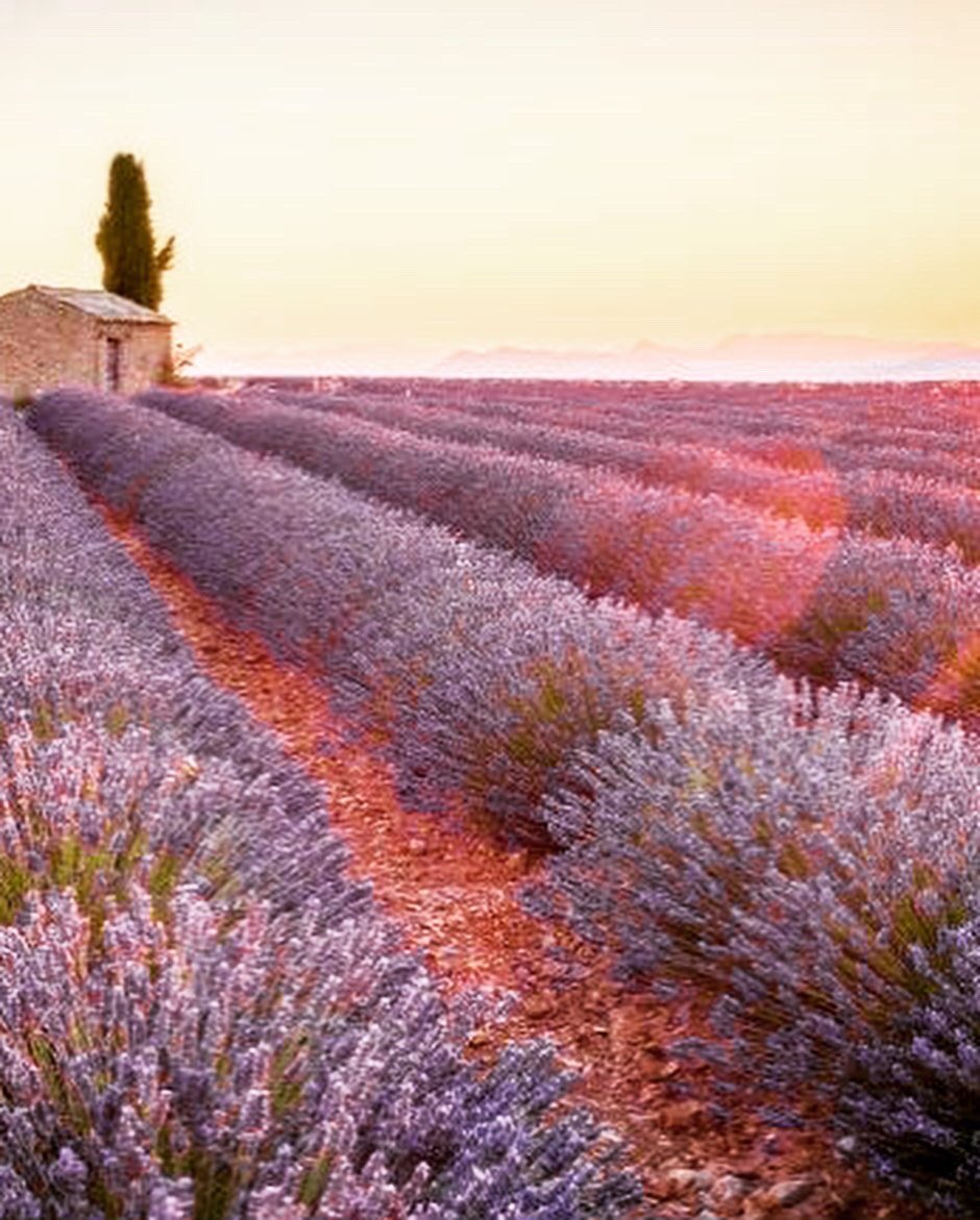 Vinopolisgib's tweet photo. Habla Rita provence rosé!! Special summer offer 20% off 🌸🌸💕💕💕 Pop by our shop or order online 
200 77210
https://t.co/zulo48YOyO
#hablarita #rose #provencerose #topwine #bodegashabla #summeroffer https://t.co/FMdXQr8CCH