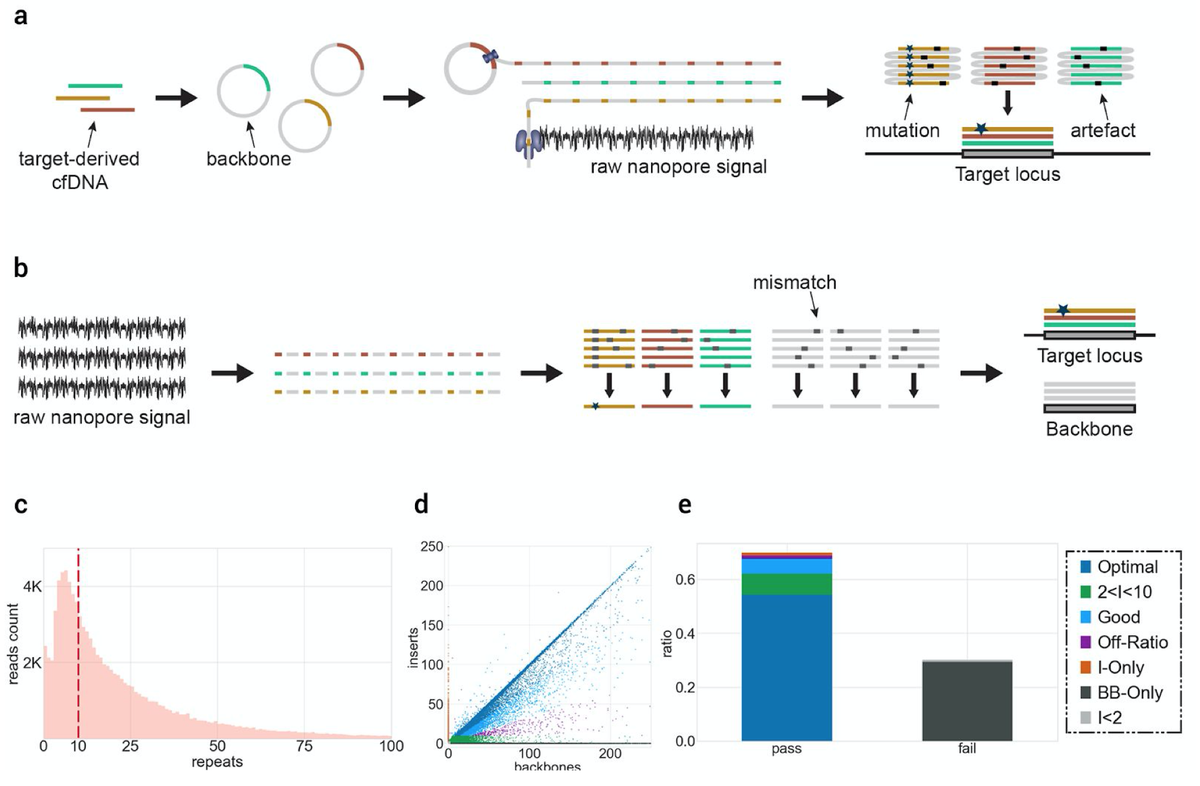 Cyclomics tweet media
