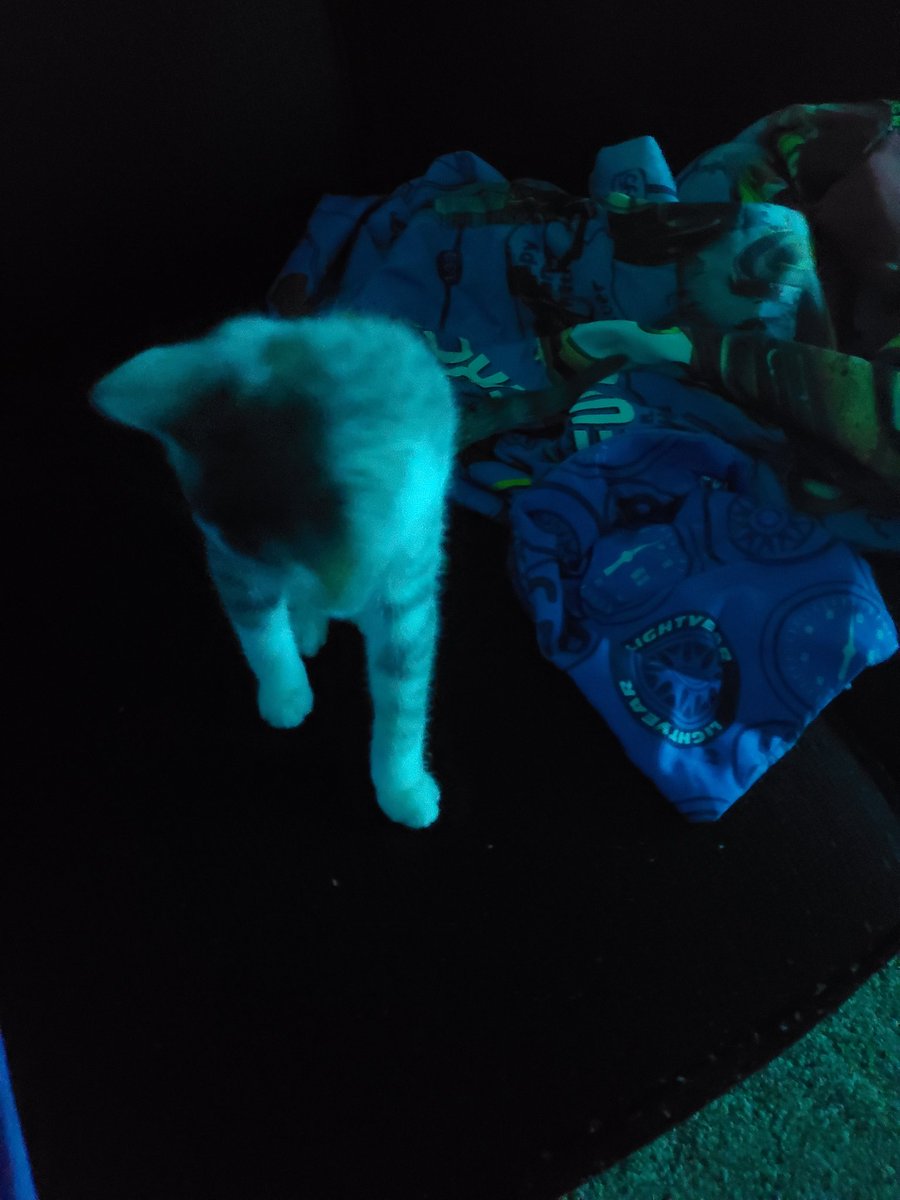mouse00040560's tweet photo. photo https://t.co/GPWL4SCvIt
