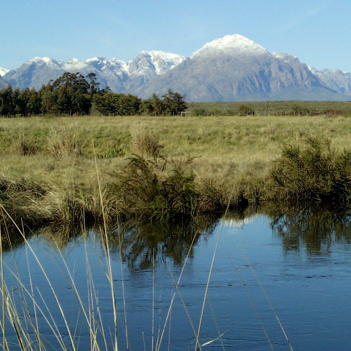 FynbosPhil's tweet photo. Fabulous day in the office!
Visiting the amazing results of alien clearing with active riverine rehabilitation along the Berg and Breede rivers! @WCGovEADP
#waterfactory #alienclearing #habitatrestoration @WWFSouthAfrica @WesternCapeGov #jobcreation #ecologicalinfrastructure https://t.co/qztlTsymgq