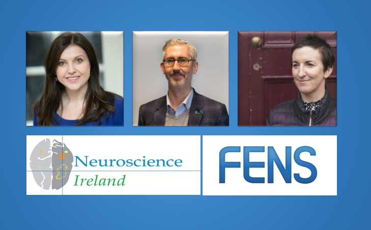 NeuroscienceIRL's tweet photo. Exciting news from Neuroscience Ireland this morning!

Our current President, Áine Kelly from @tcddublin, and two of our past presidents, Richard Roche from @MaynoothUni and Eilís Dowd from @nuigalway, have been elected to new roles with @FENSorg Committees. 

Congrats to all!! https://t.co/i3UkS4zNKs