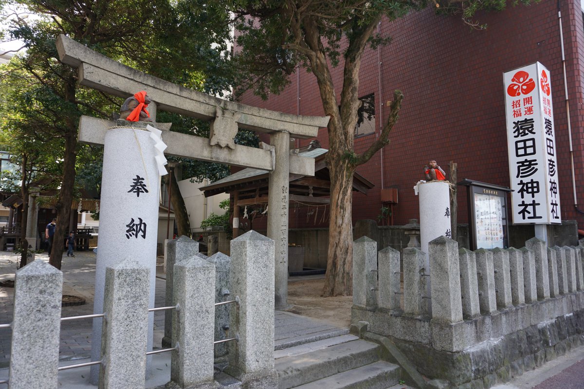 猿面 猿面