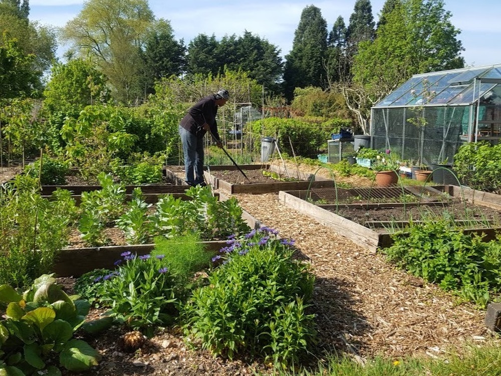 Let's turn car parks into nature parks.

Car parks into bike hire docking stations.

Car parks into community farms and allotments.

Cark parks into mini-forests, to let cities breathe.

Let's get those maps and start planning.