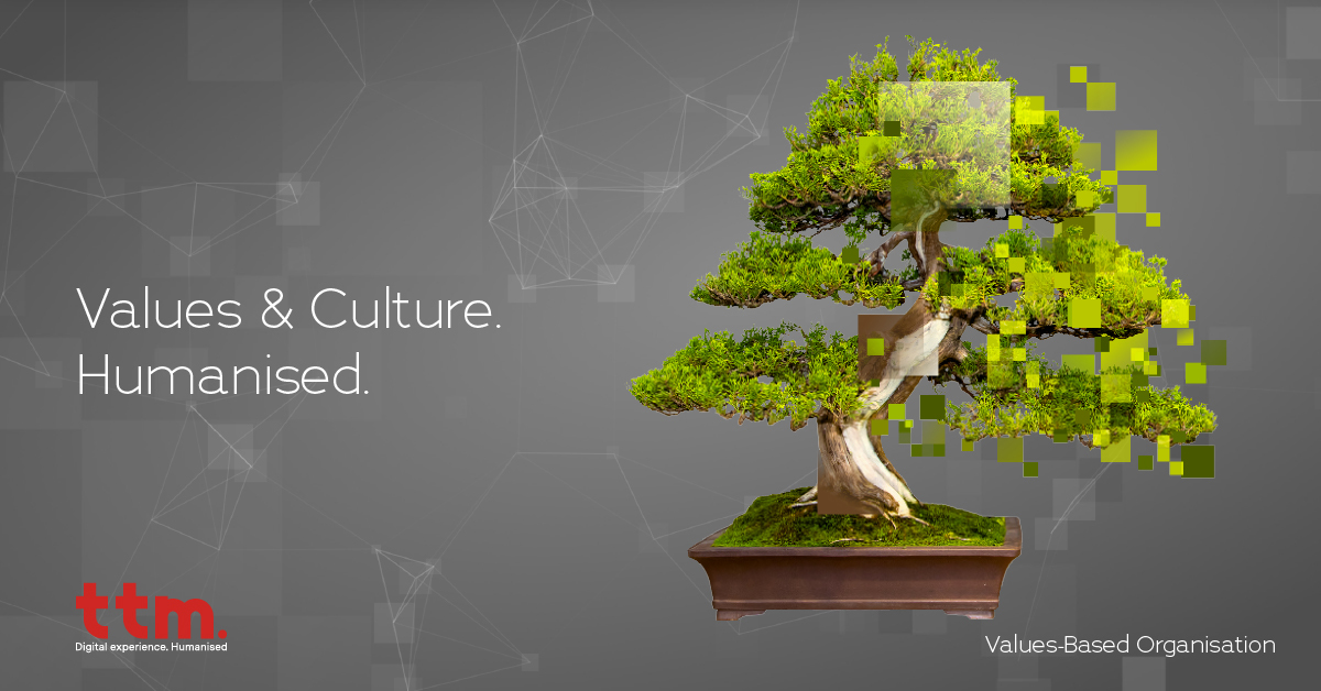 TTMassociates's tweet photo. Nowadays, the need for a Values-Based Organisation is more critical that ever. Discover how you develop a Values-driven Culture mindset with our proven and comprehensive approach: https://t.co/VYeIfjw3we
#TTM #newnormal #valuesbasedorganisation #vbo #digitalexperiencehumanised https://t.co/R6Ww6v5Cmr