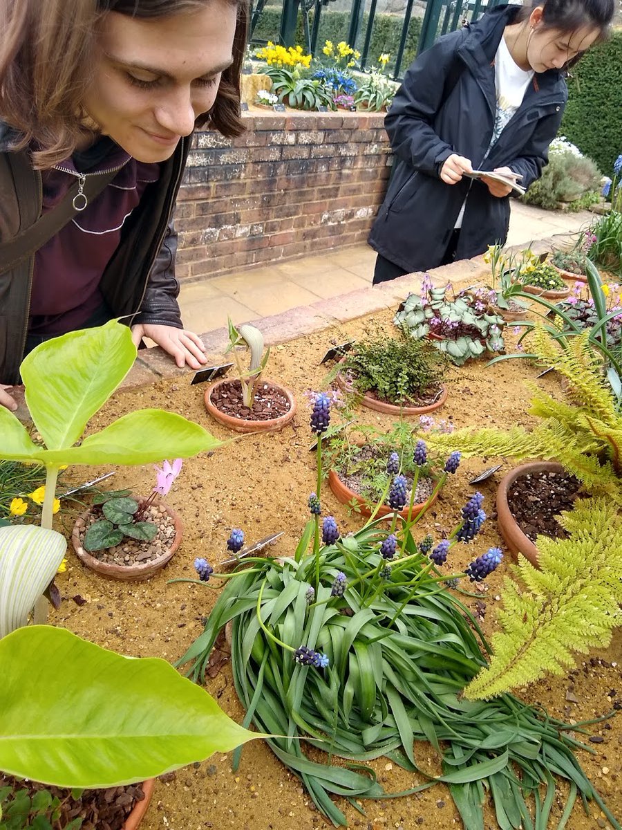 The 3rd year Diversity &amp; Identification of Plants module deserves a mention. We learnt a lot about plant taxonomy and identification - declining skills in biological sciences and arguably essential in the current biodiversity crisis. <a href="/george_garnett/">George Garnett</a>  3/9