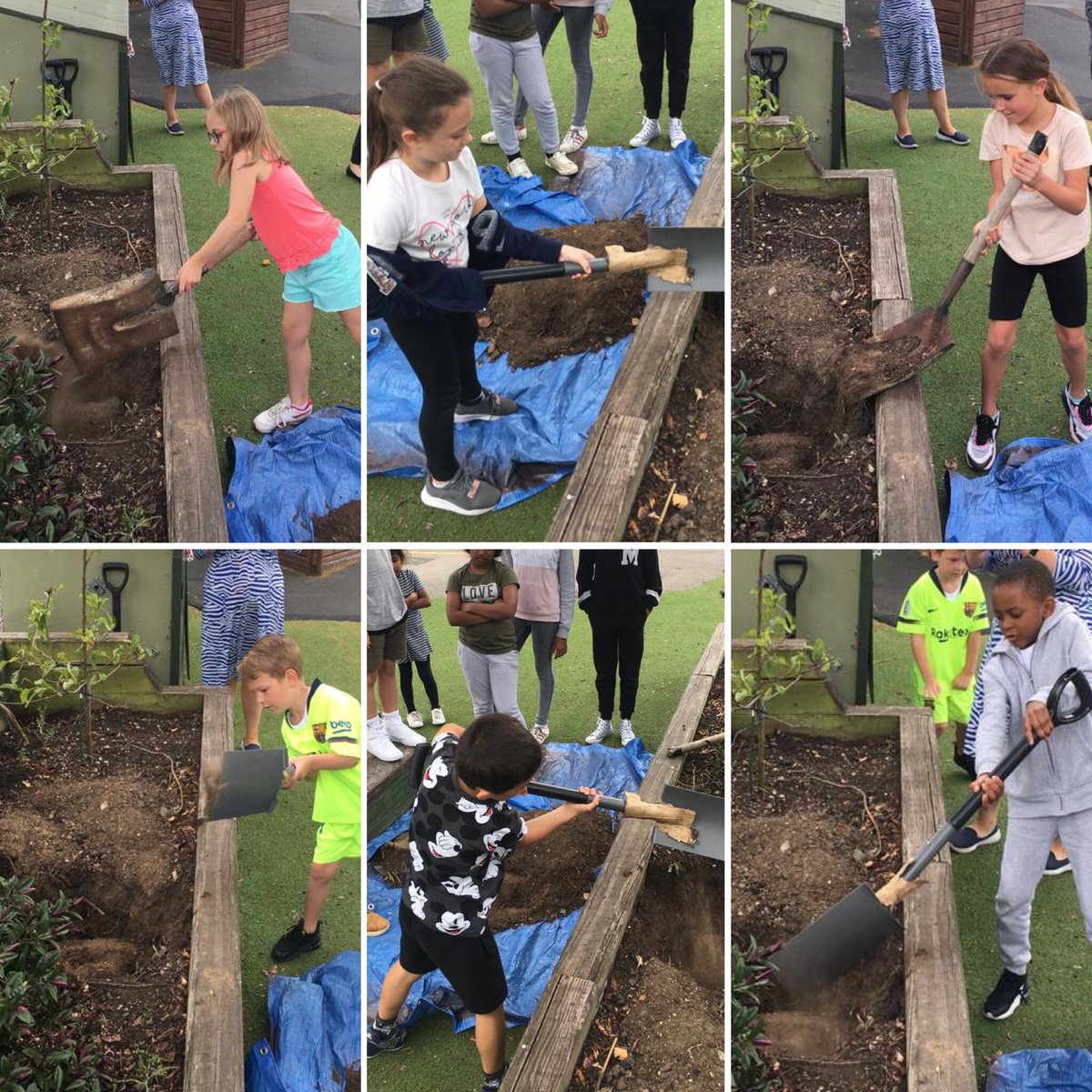 Old_OakPrimary's tweet photo. A moment in time 💫

Yesterday the staff and children in the #KeyWorkerBubble buried a #TimeCapsule they have been working on during #Lockdown

A lovely way to remember how the #OldOakFamily came together during this unprecedented crisis 💙

#School #Education @educationgovuk https://t.co/V99TVaDcXP