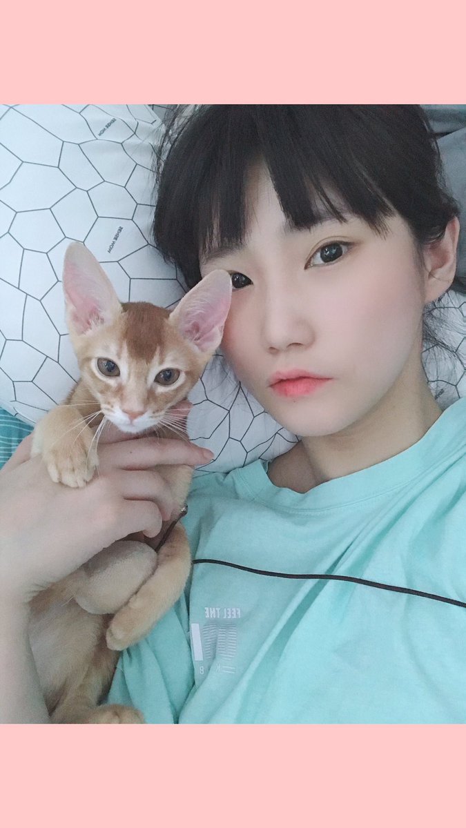 mimu0904's tweet photo. 배경화면 묘묘랑🤖너 없었으면 어쩔뻔했니 내새끼 https://t.co/XSPz7TrRCE