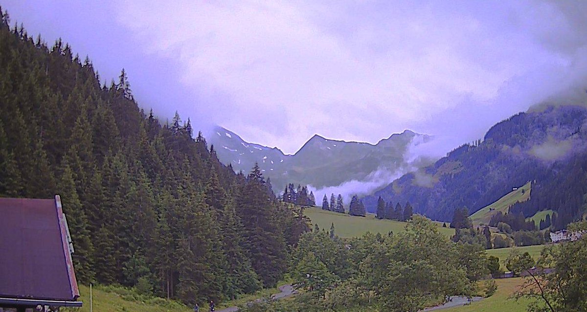 MeesClausing's tweet photo. Dinsdag weer aankomen in Oostenrijk #Juns. Gisteren aangevangen met mijn 2de trainingsblok deze zomer. En (helaas) we zagen het al ‘hangen’ vanochtend 🤔. Mist 🌫 &amp; sneeuw 🌨 tijdens de training #GefroreneWand #3250m #Hintertuxergletscher https://t.co/LzJ8EARl1i
