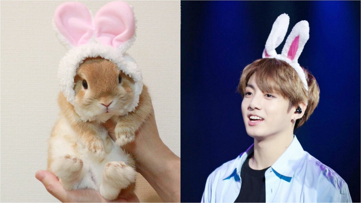 🐰vs🐰

#samepose
#PETER
#JUNGKOOK
@BTS_twt